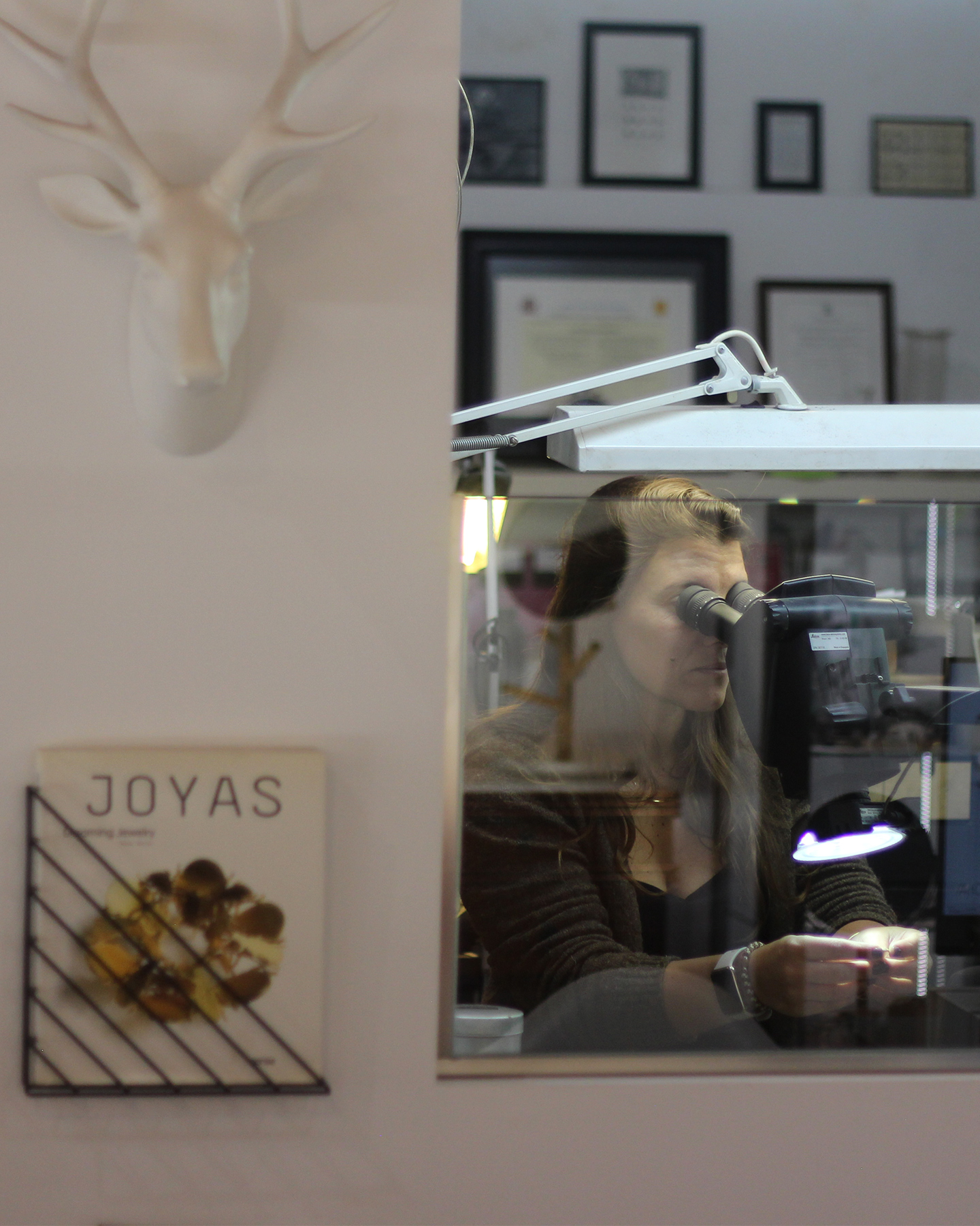 Diana da Silva — Studiojoia, physical